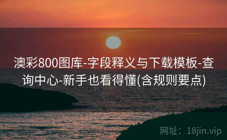 澳彩800图库-字段释义与下载模板-查询中心-新手也看得懂(含规则要点)