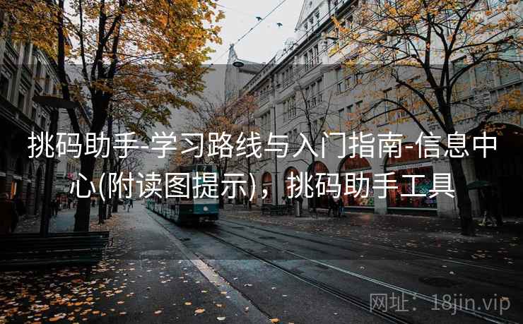 挑码助手-学习路线与入门指南-信息中心(附读图提示)，挑码助手工具  第1张